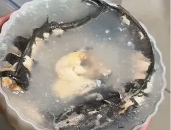 Shanty Denny Coba Puding Lele, Begini Reaksinya pada Suapan Pertama!