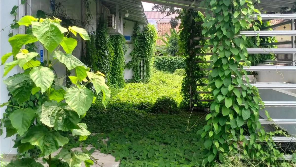 CARUT MARUT MBG - Dapur MBG Polri yang mangkrak di Lebak, Banten.