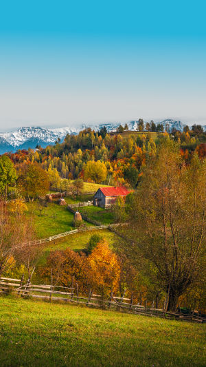 Măgura Mountain Escape