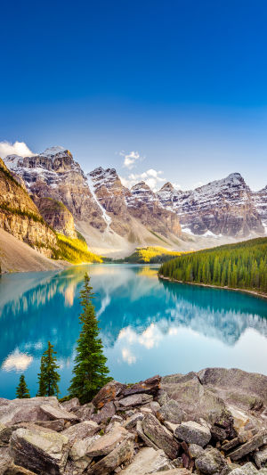 Turquoise Lake Views