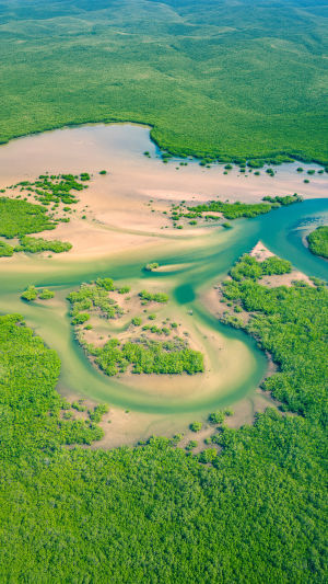 Saloum Delta Escape