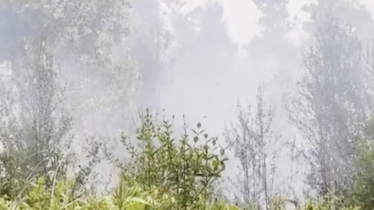 KEBAKARAN HUTAN - Karhutla mengancam permukiman Kalimantan, warga panik, asap ganggu aktivitas hingga sekolah.