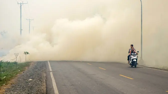 Sepasang warga mengendarai sepeda motor menerobos kabut asap tebal akibat kebakaran hutan dan lahan di Kabupaten Barito Kuala, Kalimantan Selatan, Sabtu (10/10/2026). Kabut asap menyelimuti sejumlah wilayah di Indonesia, Malaysia, dan Singapura selama beberapa pekan terakhir akibat kebakaran yang melanda kawasan hutan di Kalimantan dan Sumatra. Asap kebakaran terbawa angin hingga melintasi wilayah regional dan berdampak pada kualitas udara. (MUDA SAGALA/AFP)