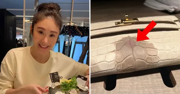 Tas Hermes Kena 3 Tetes Wine, Restoran Ini Dituntut Ganti Rugi Rp518 Juta! Tas Hermes Kena 3 Tetes Wine, Restoran Ini Dituntut Ganti Rugi Rp518 Juta!
