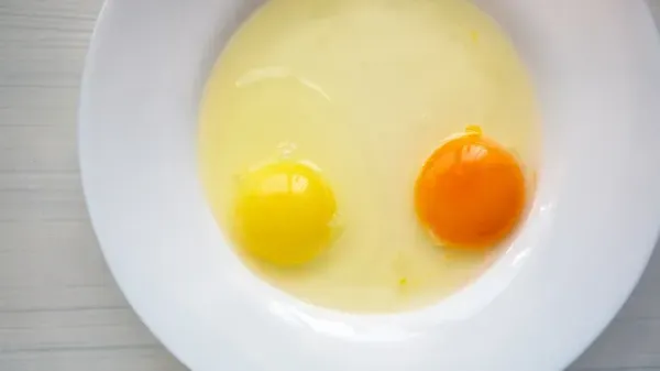 Telur