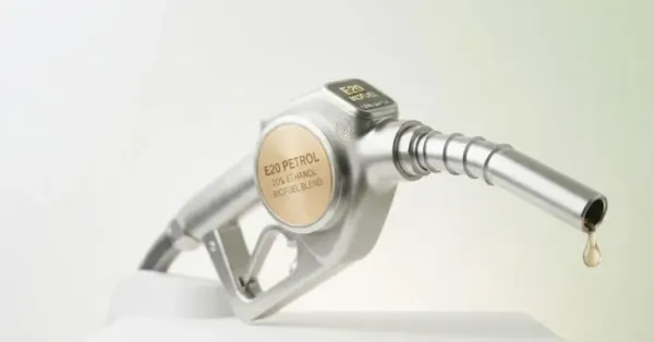 e20 petrol supreme court ruling