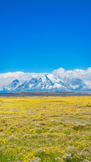 Cuernos del Paine Guide