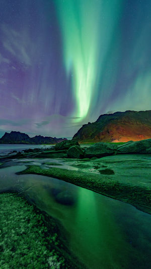 Uttakleiv Aurora Nights