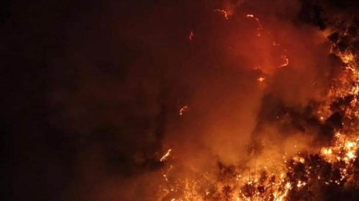 Kebakaran hutan dan lahan (karhutla) kembali terjadi melanda kawasan Taman Nasional Gunung Ciremai (TNGC), di Wilayah Resor Pasawahan, SPTN Wilayah I Kuningan.