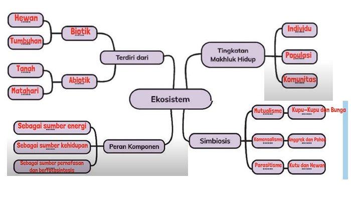 Pada bab ini kita belajar banyak mengenai ekosistem, yaitu: