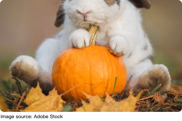 Sài Gòn đón Halloween 2026