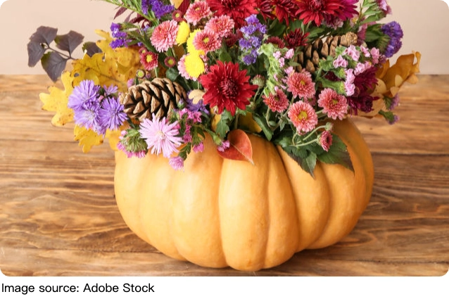 Đi đâu dịp Halloween 2026?