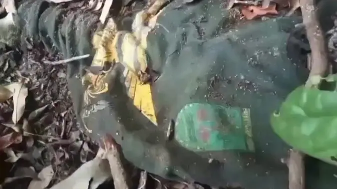 Niat Cari Madu di Hutan, Warga Malah Temukan Tengkorak Manusia Warga menemukan kerangka manusia dalam kondisi tidak utuh di kawasan Taman Hutan Raya (Tahura) Wan Abdul Rachman, Register 19, Dusun Umbul Solo Sinar Baru, Desa Padang Ratu, Kecamatan Gedong Tataan, Kabupaten Pesawaran, Lampung, Rabu (28/10/2026). (Dok. Istimewa)
