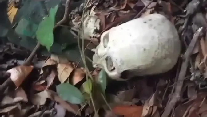 Niat Cari Madu di Hutan, Warga Malah Temukan Tengkorak Manusia Warga menemukan kerangka manusia dalam kondisi tidak utuh di kawasan Taman Hutan Raya (Tahura) Wan Abdul Rachman, Register 19, Dusun Umbul Solo Sinar Baru, Desa Padang Ratu, Kecamatan Gedong Tataan, Kabupaten Pesawaran, Lampung, Rabu (28/10/2026). (Dok. Istimewa)