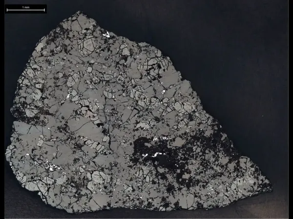 Martian meteorite found in the Sahara is 4.1 billion years old Martian meteorite found in the Sahara is 4.1 billion years old