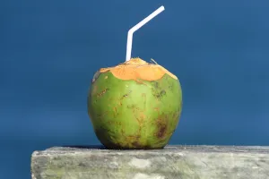 Load failed