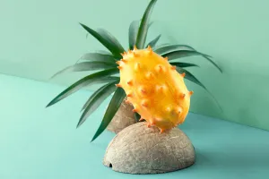 Load failed