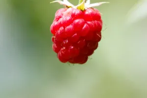 Load failed