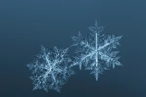 Load failed