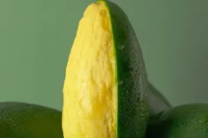 Load failed
