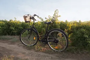 Radfahren für die Seele