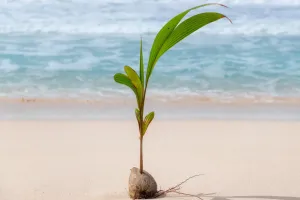 Load failed