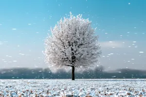 Load failed