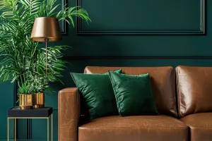Furniture Care Tips