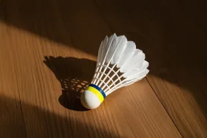 Badminton Speed Play