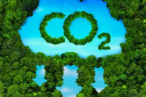 Le mystère du co2