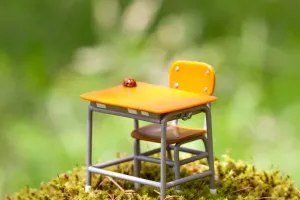 Apprendre en nature