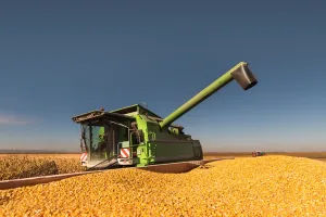 Load failed