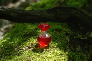 Aceites Esenciales