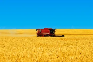 Agricultura Mecanizada