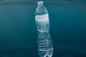 Спасаем Землю вместе