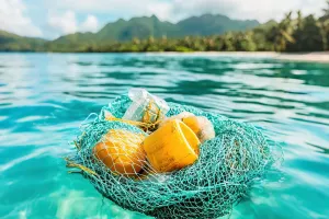 The Polluted Sea