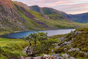 Đường đến xứ Wales