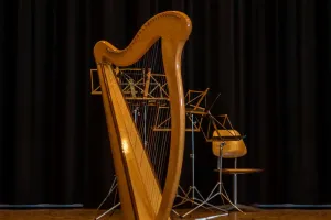 Harp's Timeless Grace