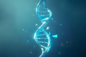 Genetic Markers Heart Risk