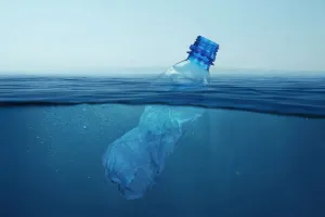 Ocean's Hidden Crisis