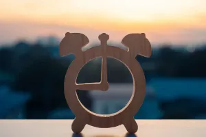 Mücadelesiz Disiplin