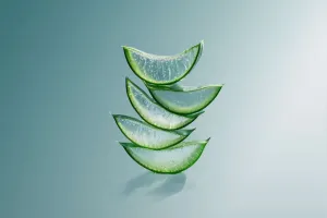 Aloe Skin Truth