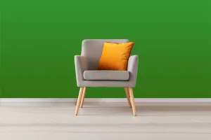 Load failed