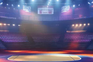 Das Geheimnis des Wrestling