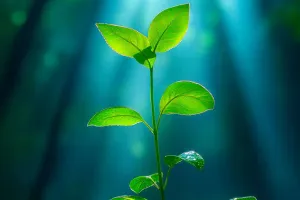 Plant Communication Secrets