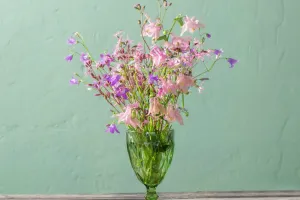 Transformação Floral