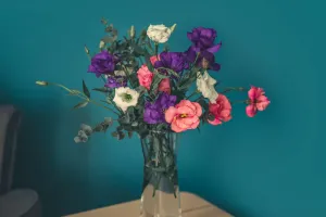 Terapia Floral: Curar Dor