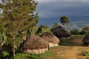 Segurança em PNG