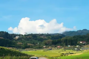 Load failed