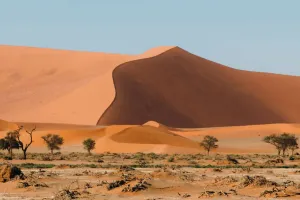 Load failed